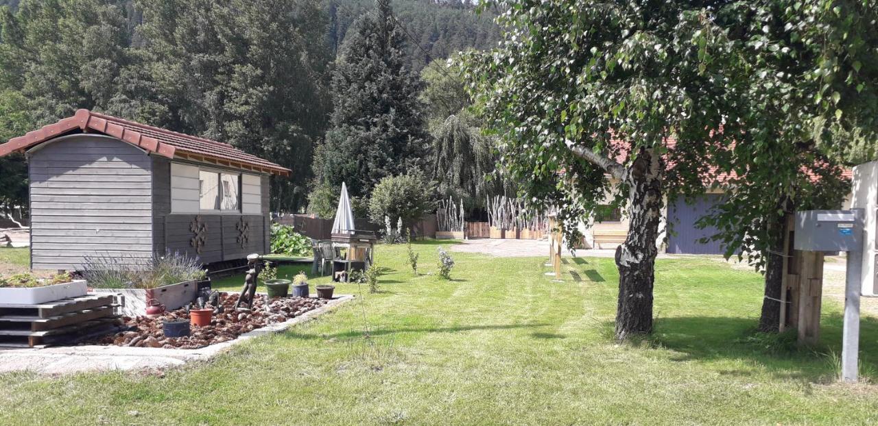 Gites, Les Jonquilles, Le Sagard Et Bungalow Les Brimbelles, Nature Et Detente La Houssiere Kültér fotó
